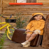  ورشة مشهد الخارجیة،کوخ خشبی